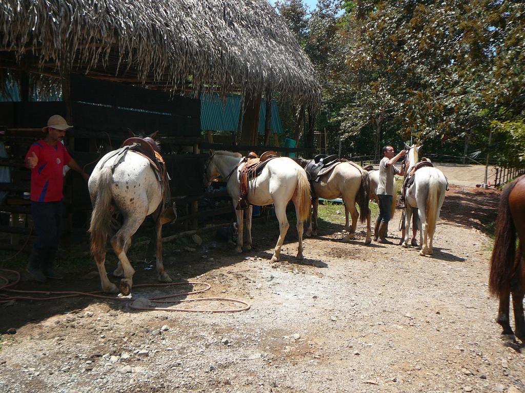 Casas Buenas Brisas Villa Ojochal Værelse billede
