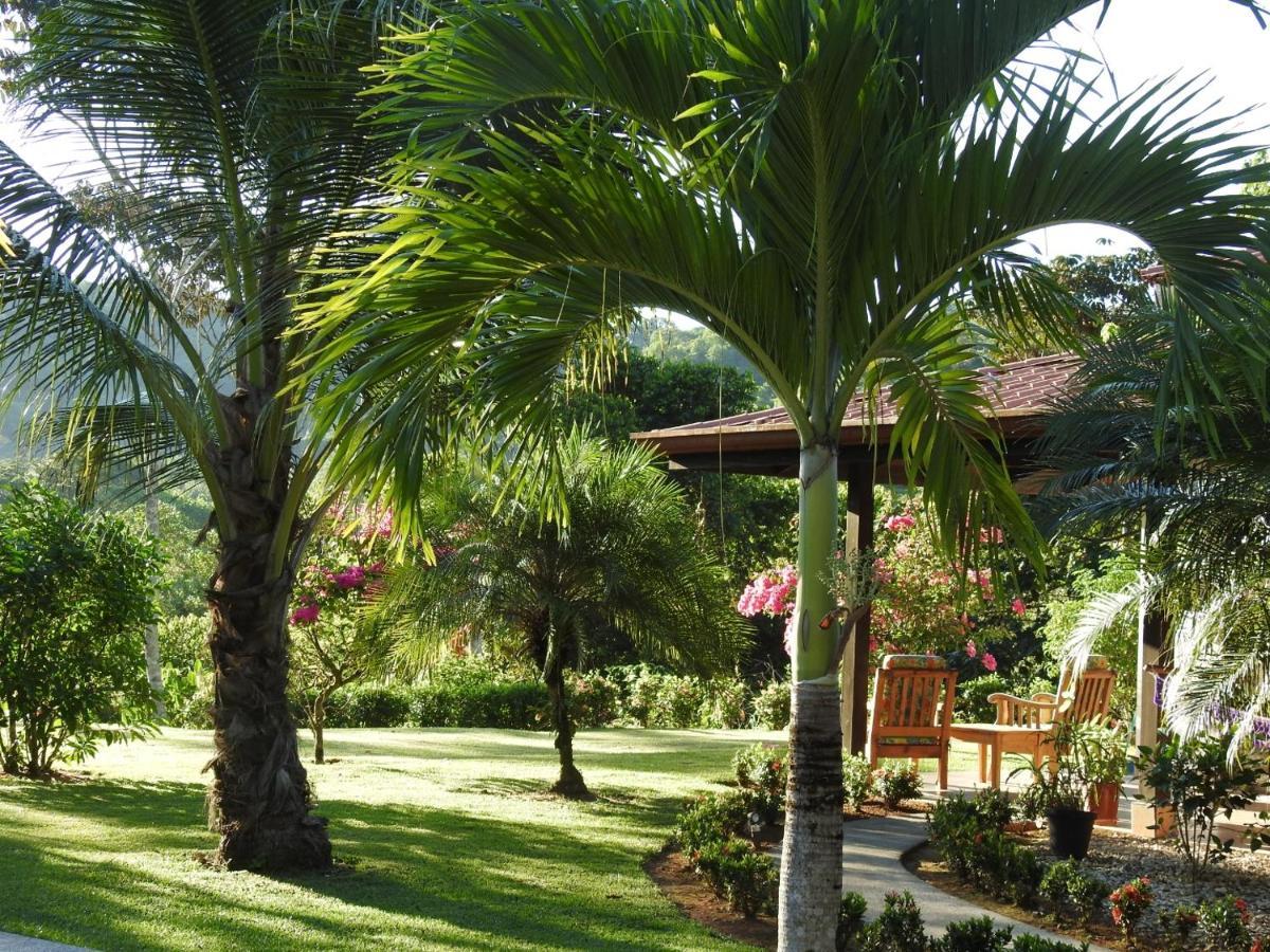 Casas Buenas Brisas Villa Ojochal Eksteriør billede